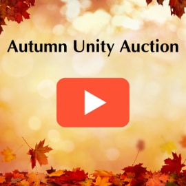 Autumn Auction