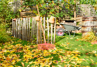 fall