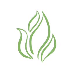 spirit centered icon
