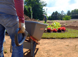 EarthCare Team beautifies the Labyrinth – July 26, 2017
